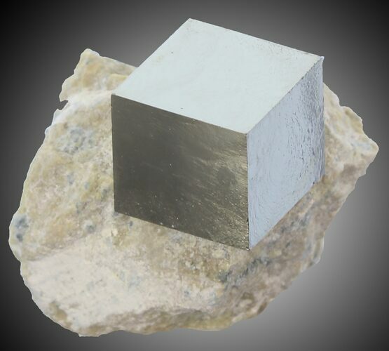 wide Pyrite Cube on Matrix - Navajun, Spain #30974
